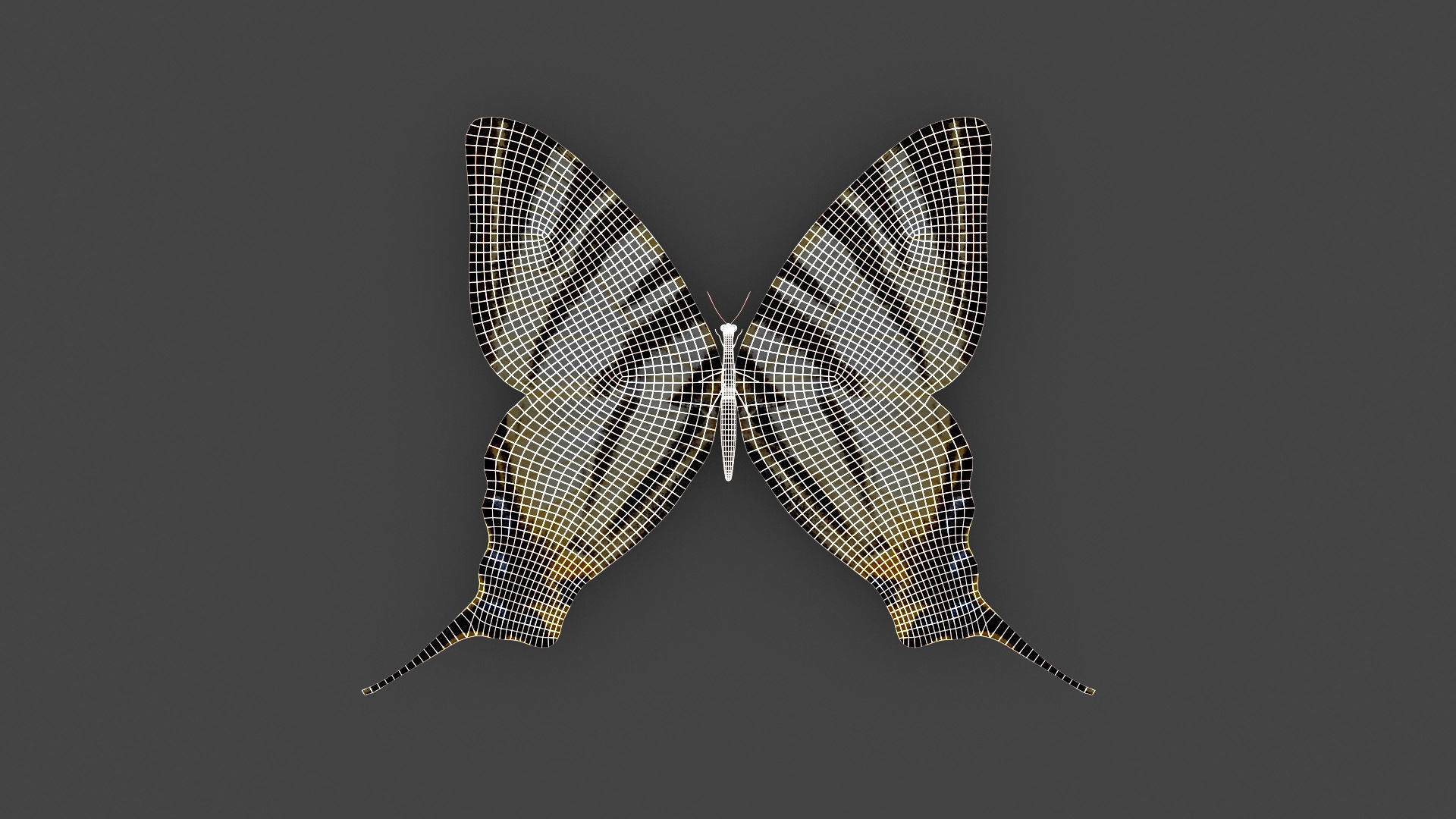 BFLY-003 Butterfly Low-poly 3D model_1