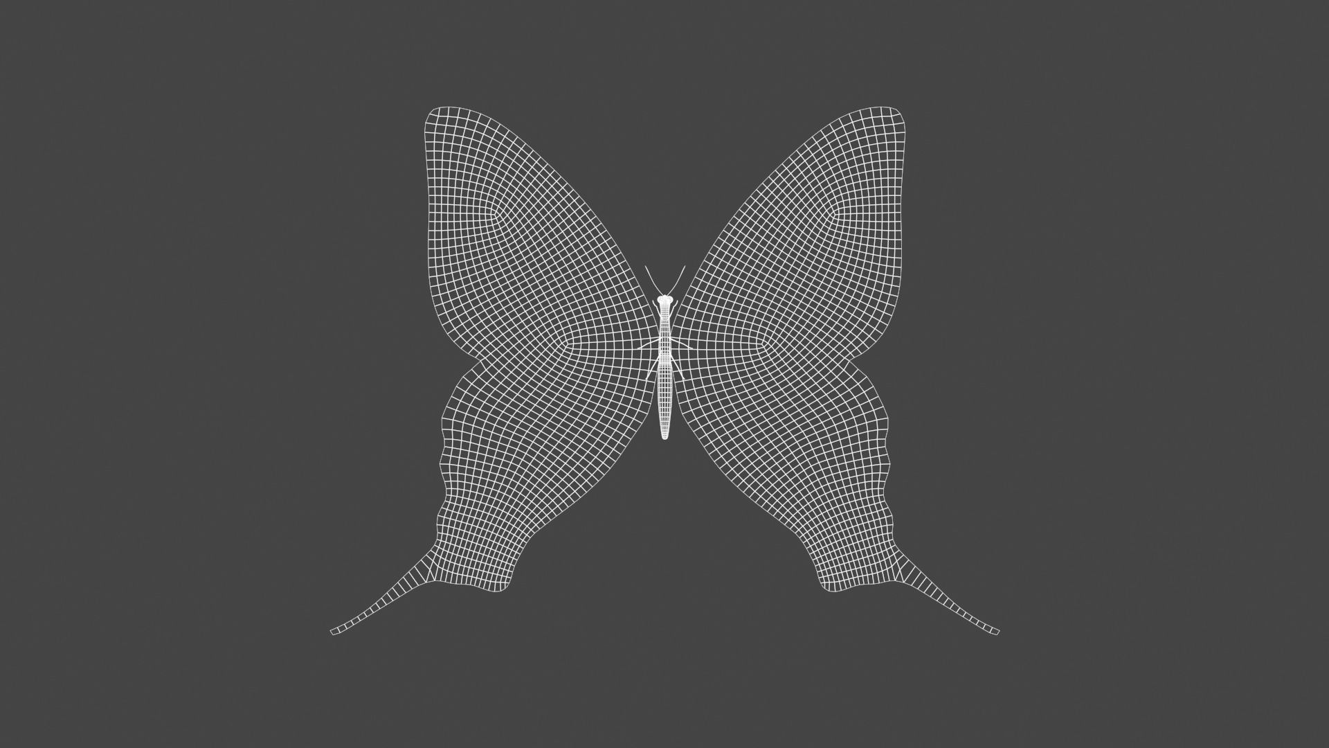BFLY-003 Butterfly Low-poly 3D model_3
