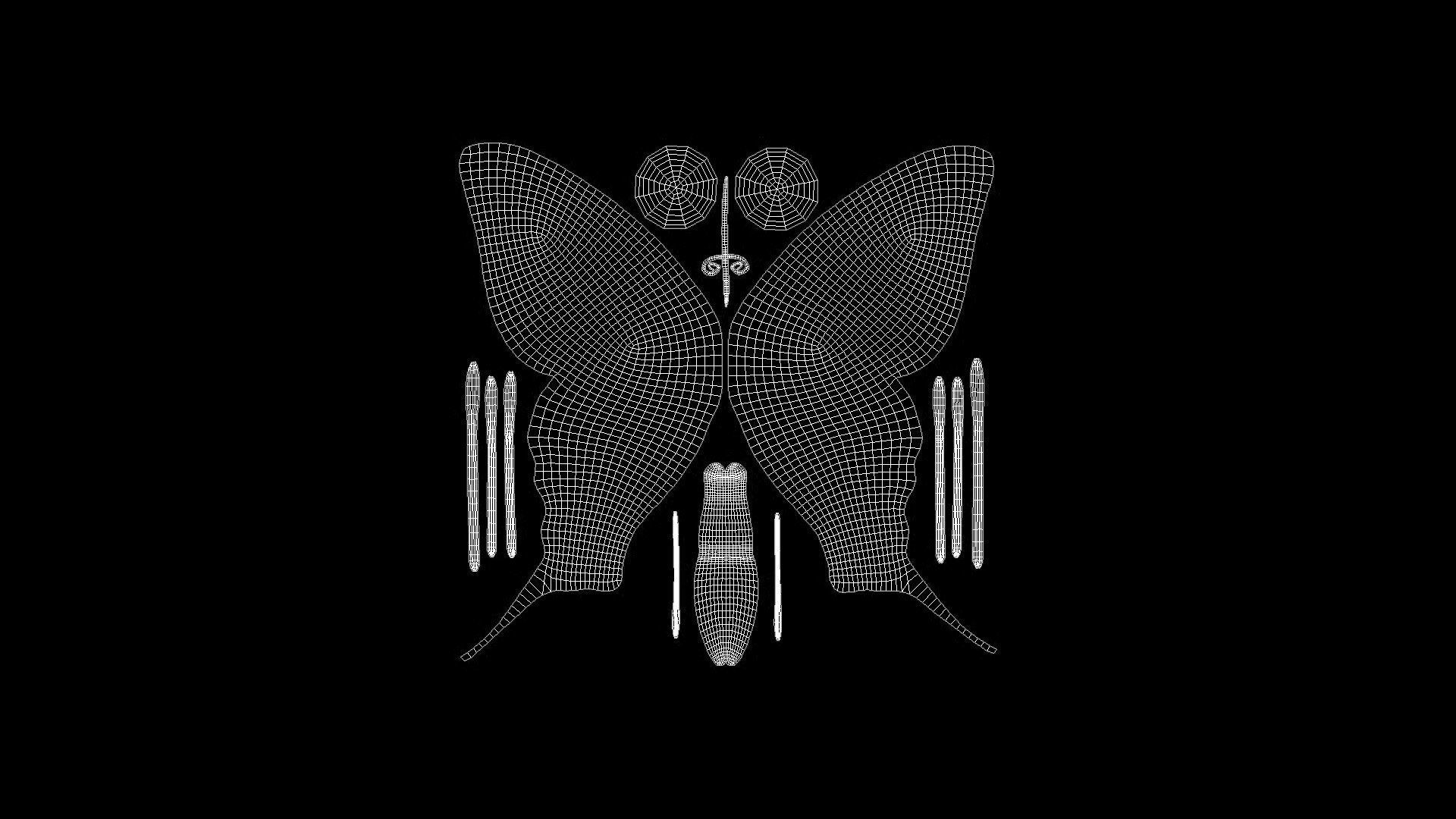 BFLY-003 Butterfly Low-poly 3D model_4