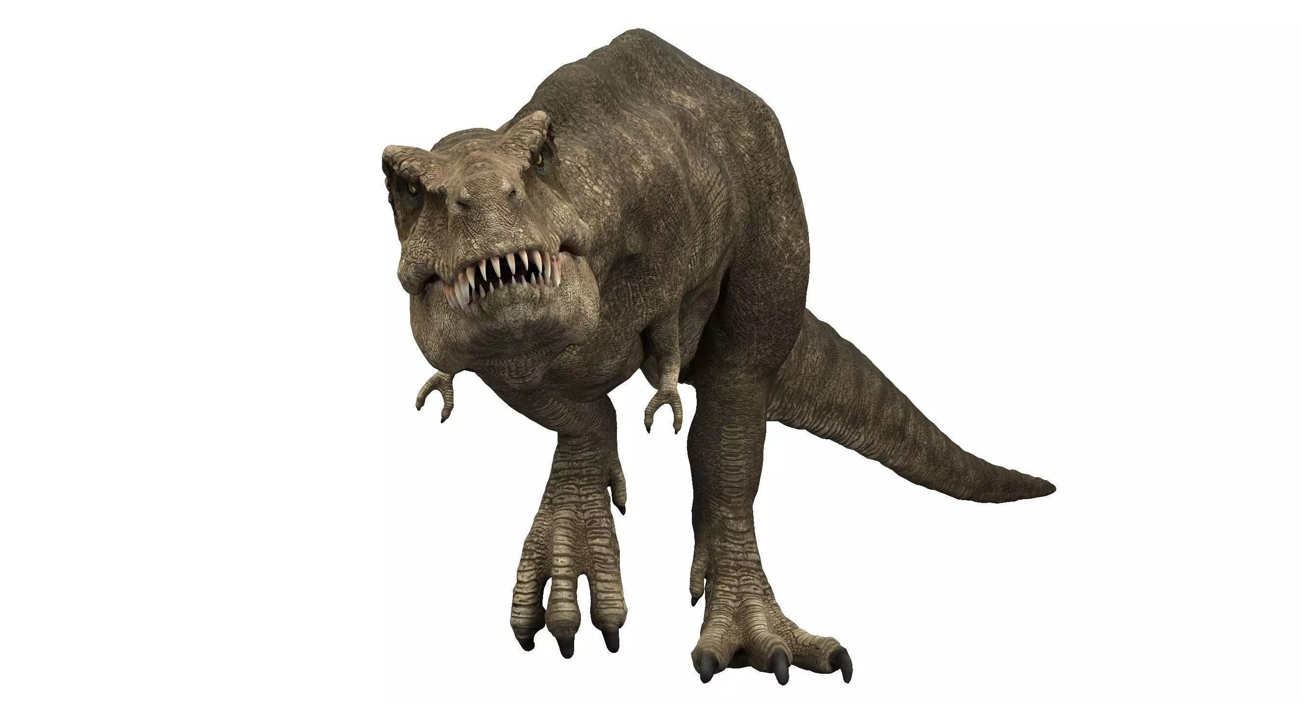 Tyrannosaurus rex 3D model_0