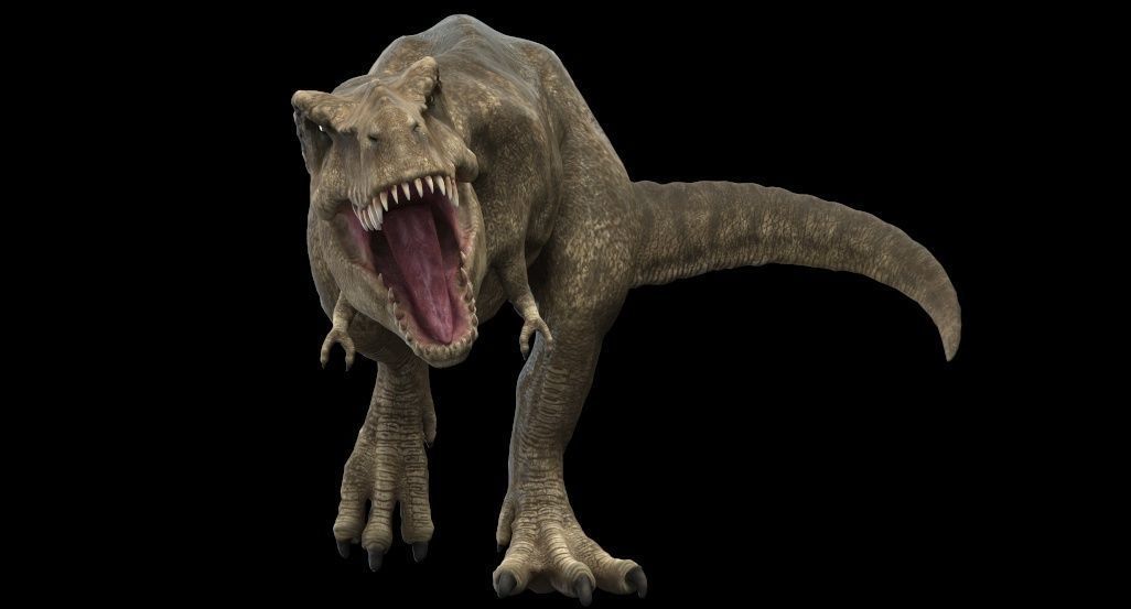 Tyrannosaurus rex 3D model_2