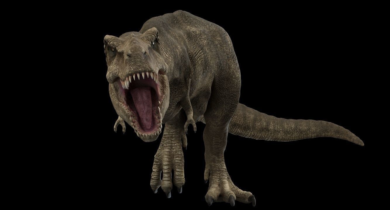 Tyrannosaurus rex 3D model_10