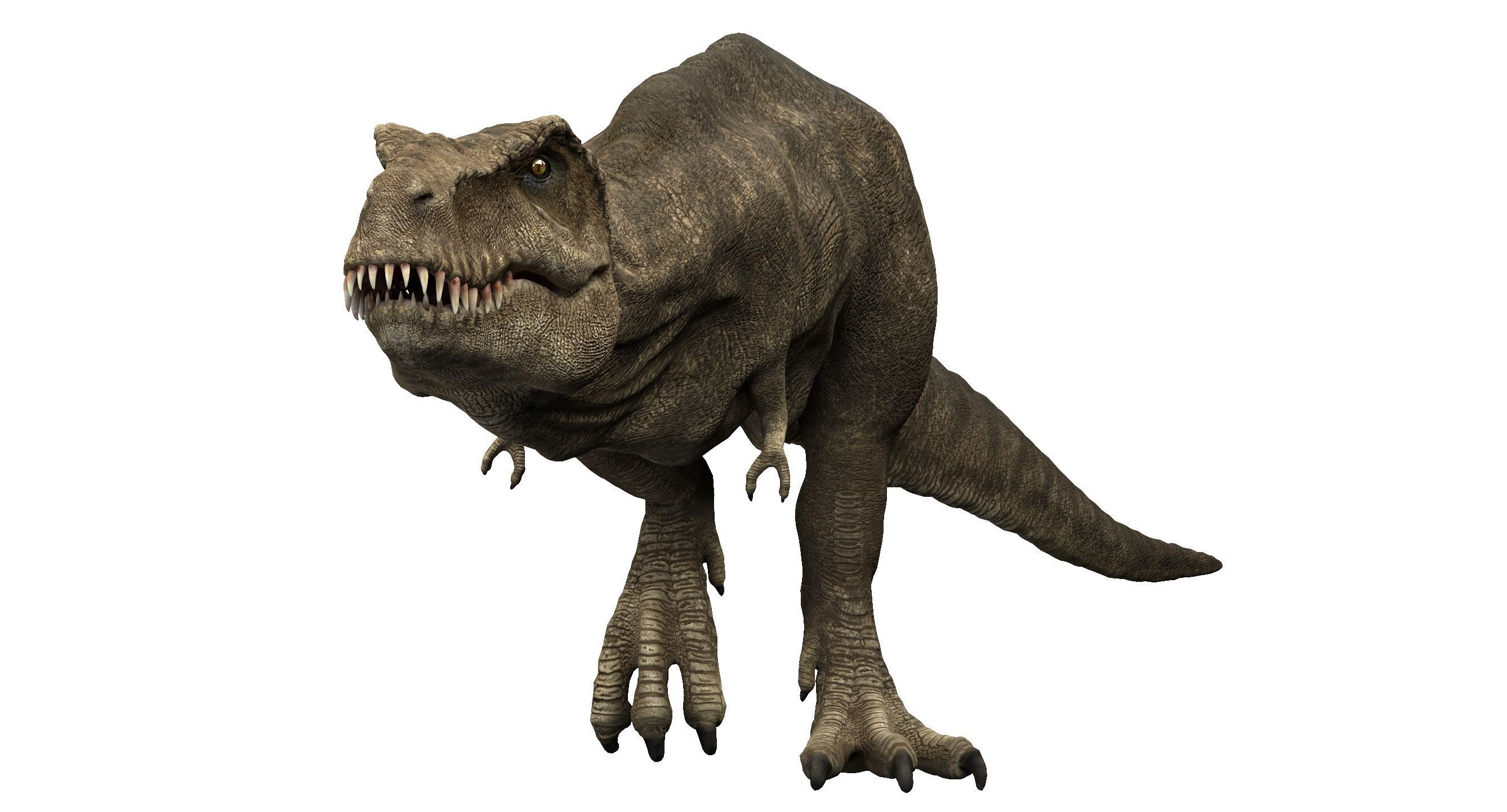 Tyrannosaurus rex 3D model_1