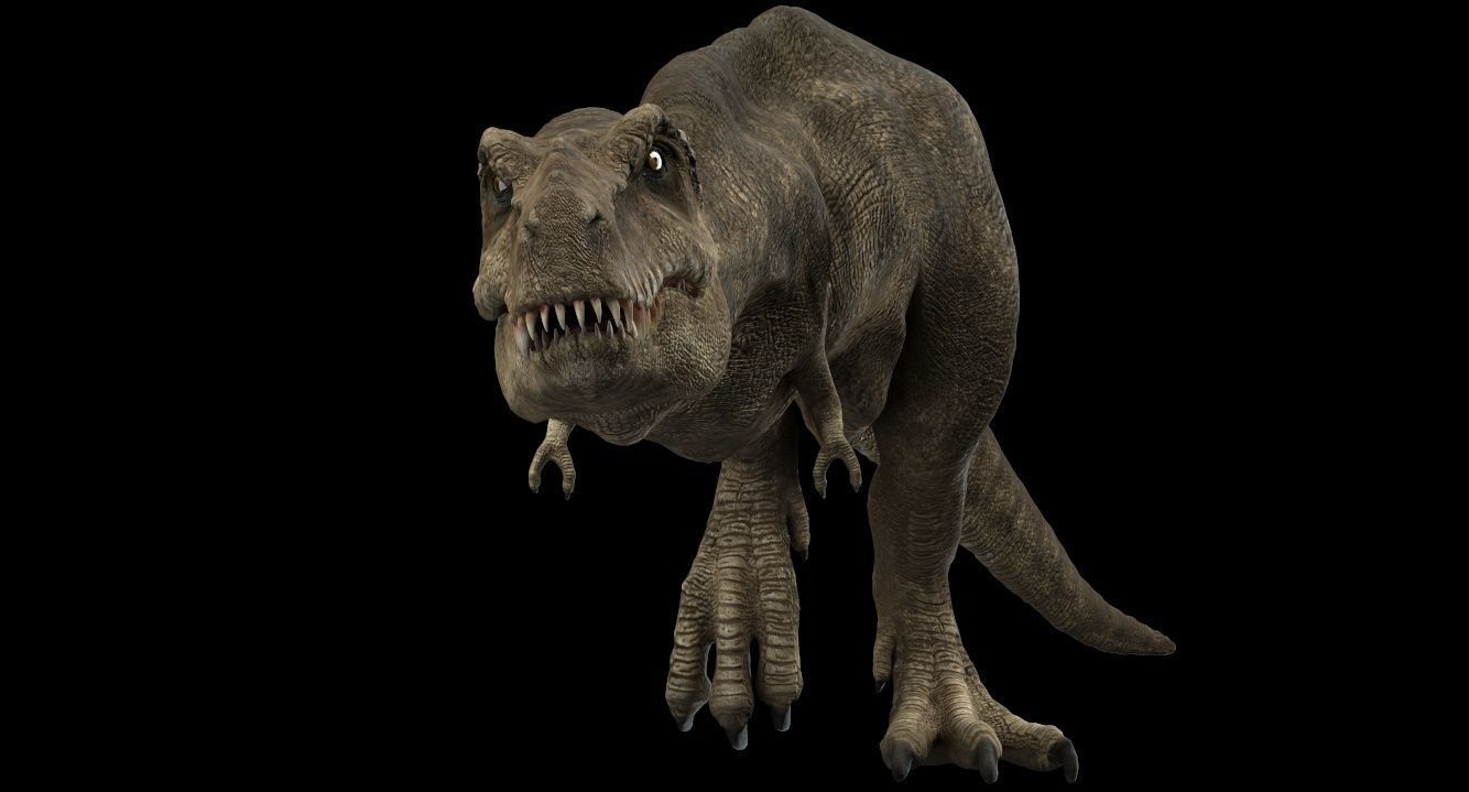 Tyrannosaurus rex 3D model_3