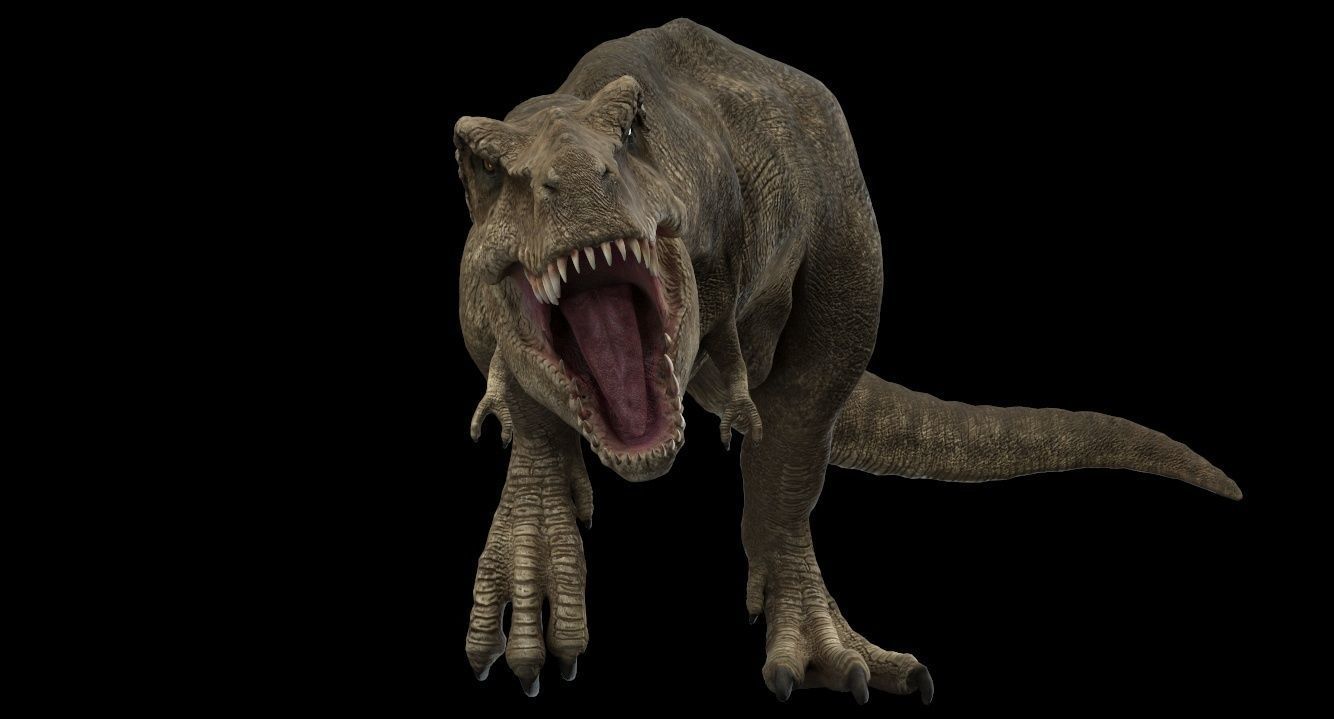 Tyrannosaurus rex 3D model_4