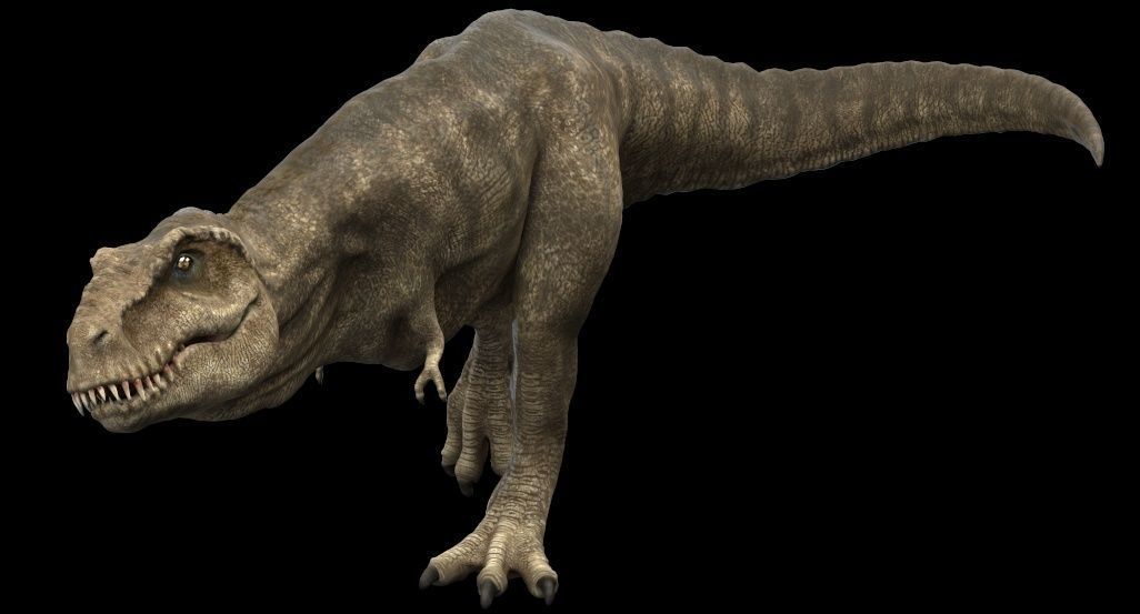 Tyrannosaurus rex 3D model_18