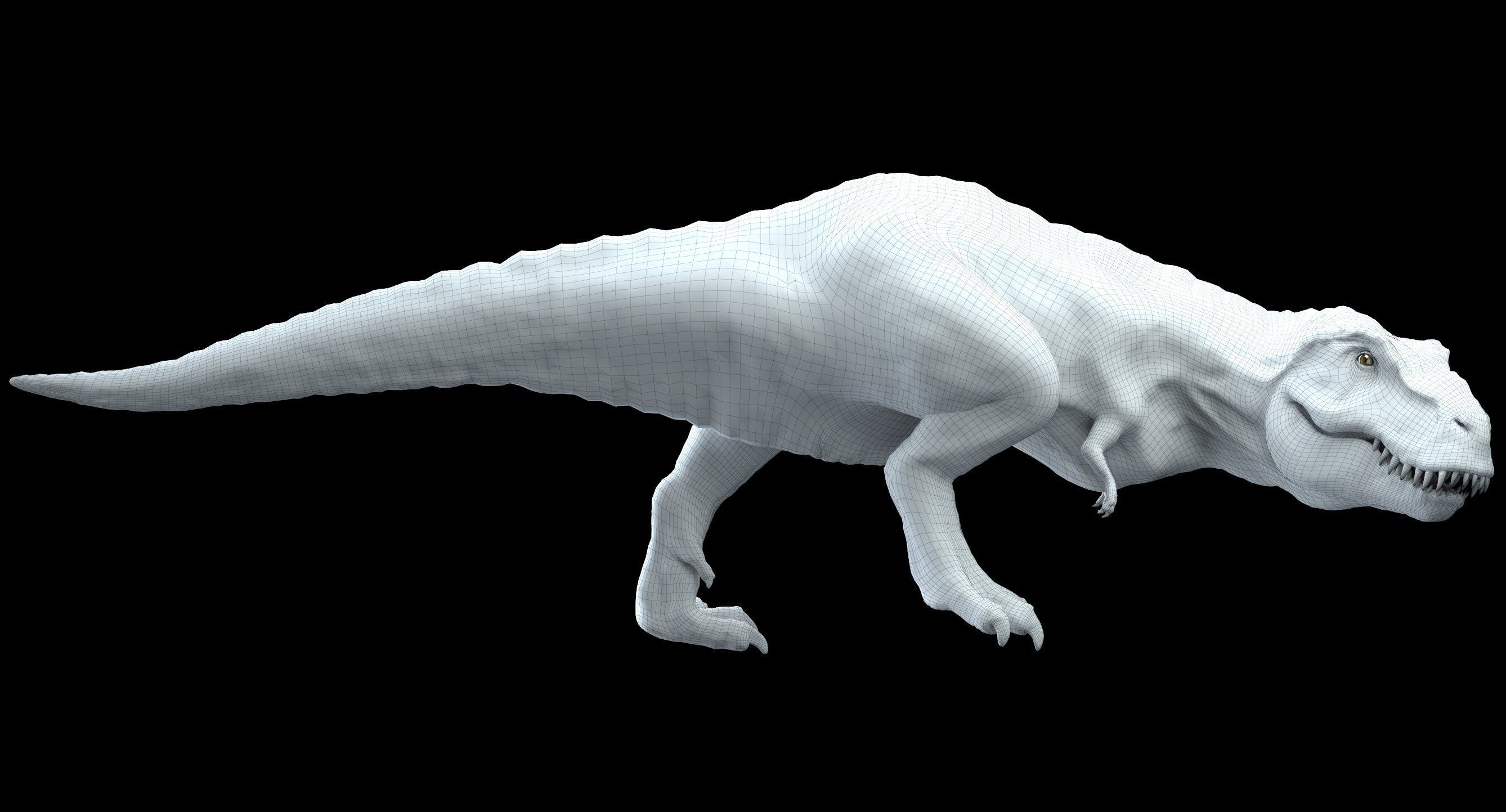 Tyrannosaurus rex 3D model_19