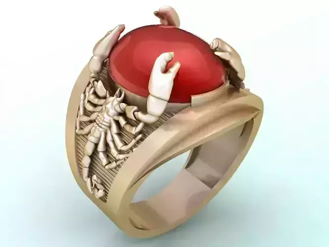 Scorpion Ring - Men ring - N568