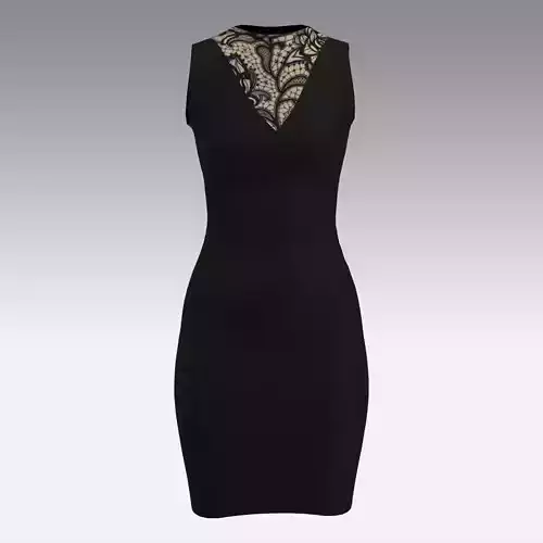 LACE SMALL DRESS LOOK