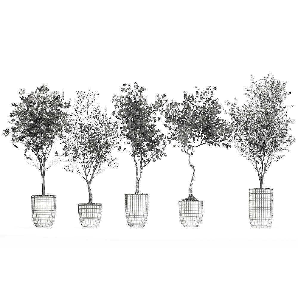 Decorative trees in a flowerpot 1050 3D model_7