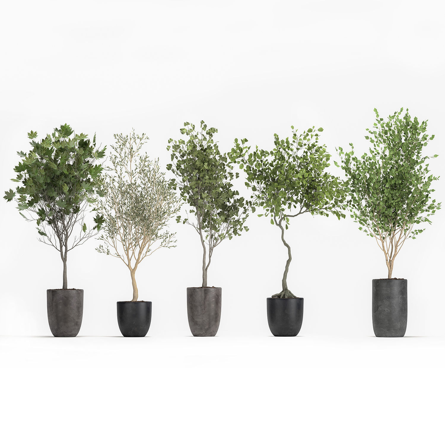 Decorative trees in a flowerpot 1050 3D model_1