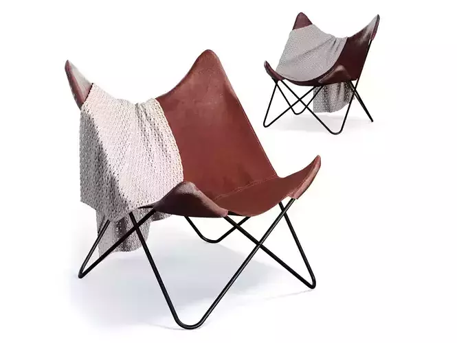 Butterfly Chair 1