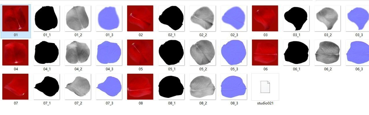 petal flower plant Rose flower Rose petal 3D model_8