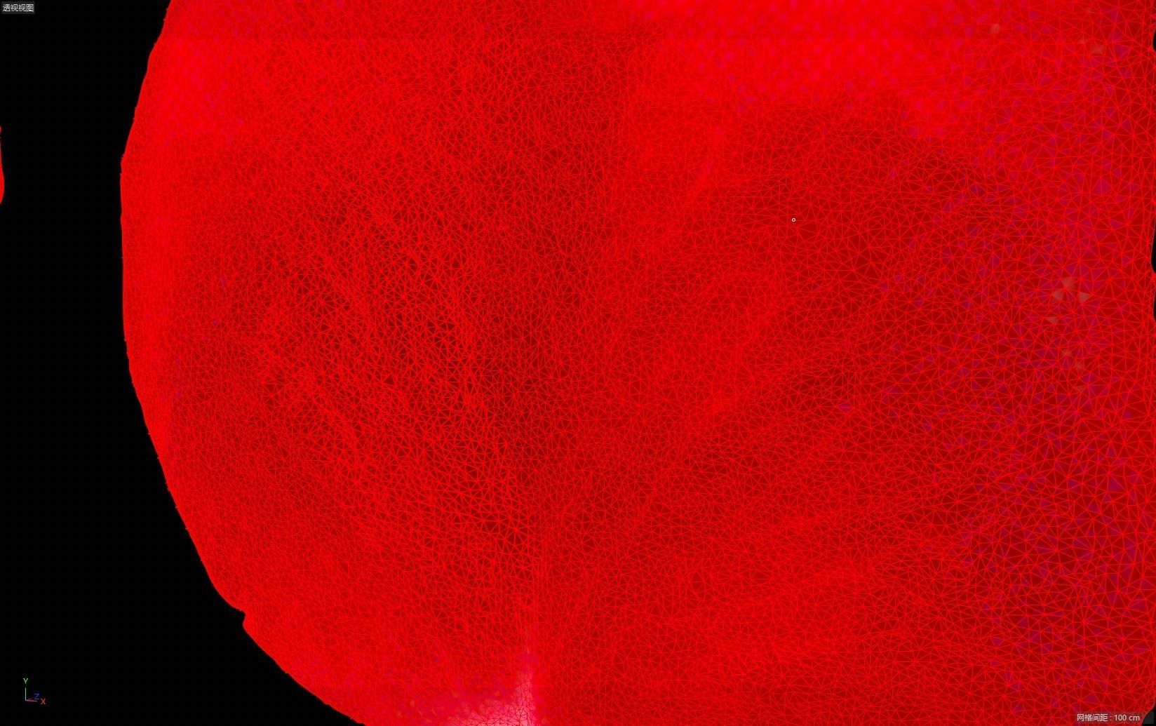 petal flower plant Rose flower Rose petal 3D model_5