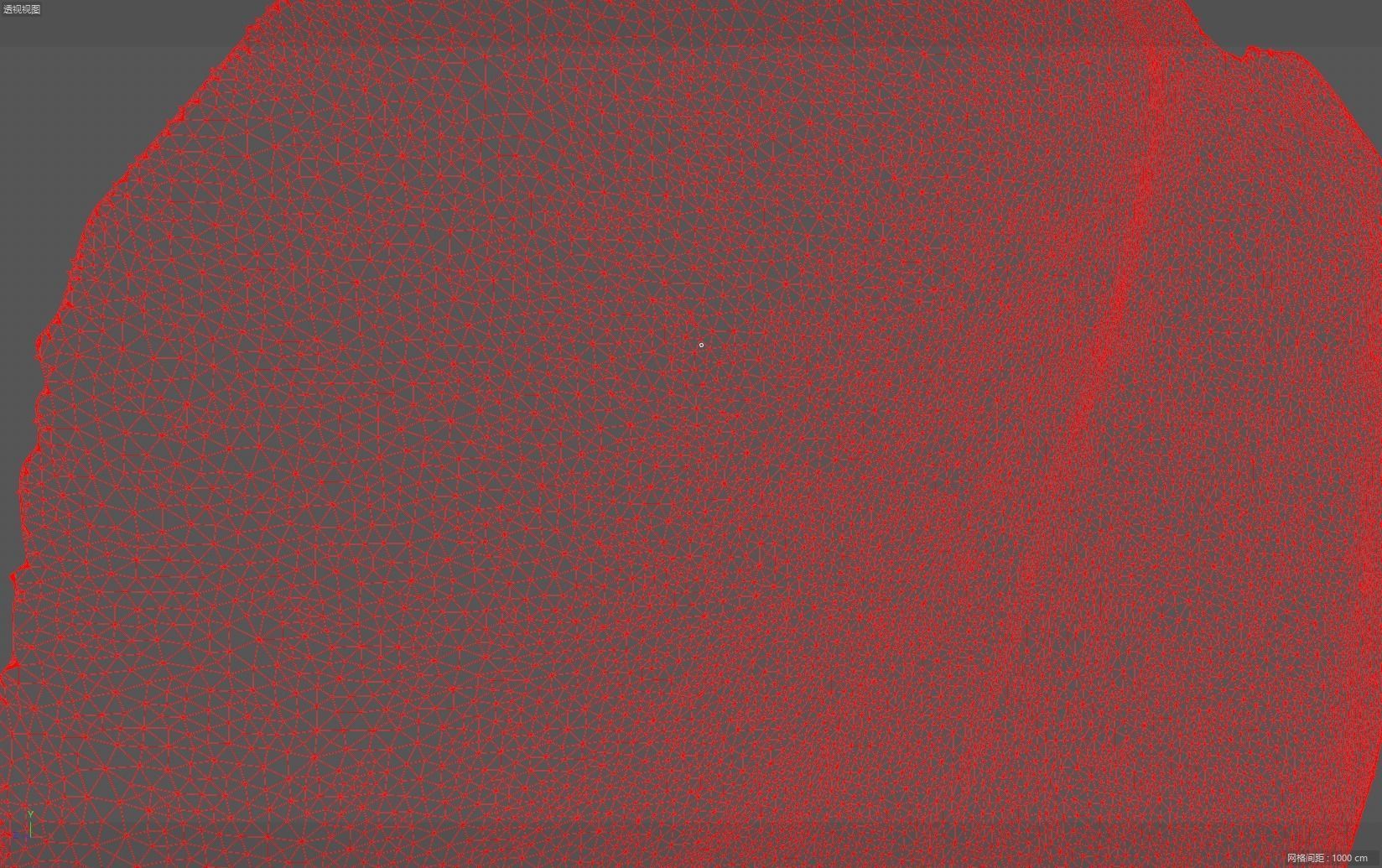 petal flower plant Rose flower Rose petal 3D model_2