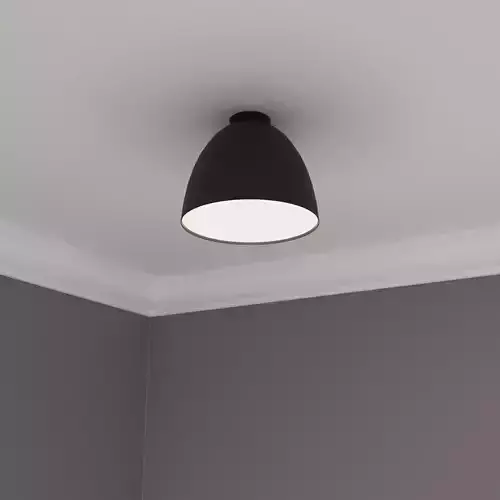 Ceiling light C539BL