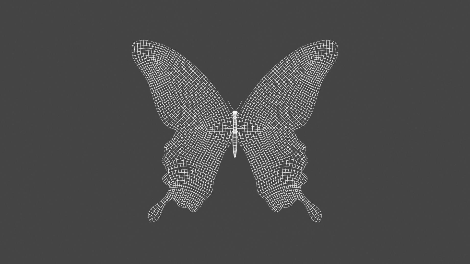 BFLY-005 Butterfly 3D model_4