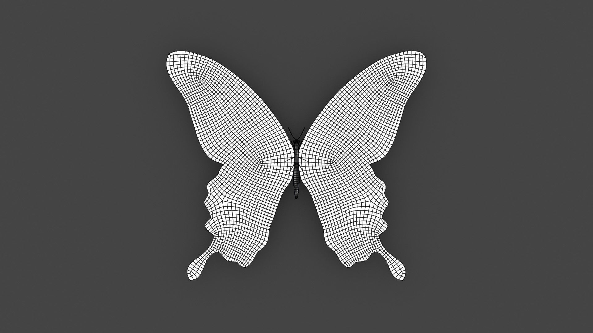BFLY-005 Butterfly 3D model_3