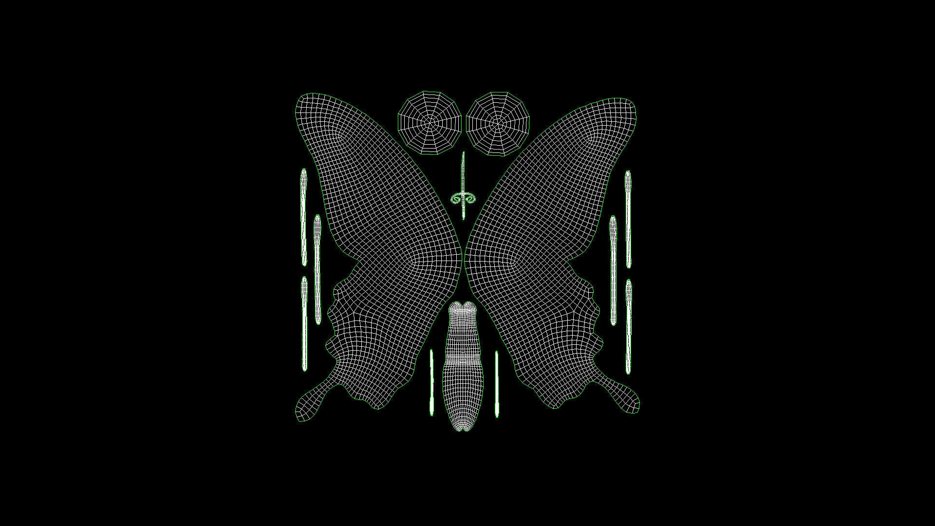 BFLY-005 Butterfly 3D model_5