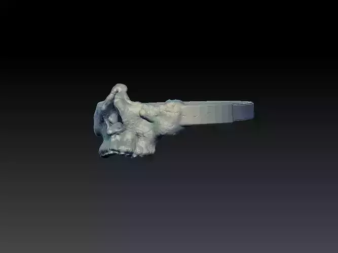 realistic Skull ring ready to print
