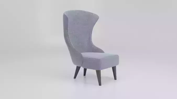 chair person upholstered dining