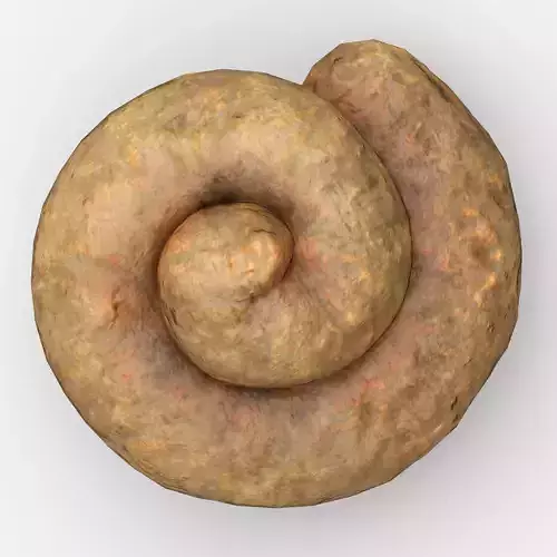 Feces spiraled potato