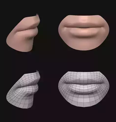Lips Female