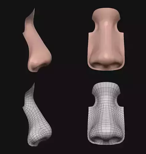 Noses Free 3D model