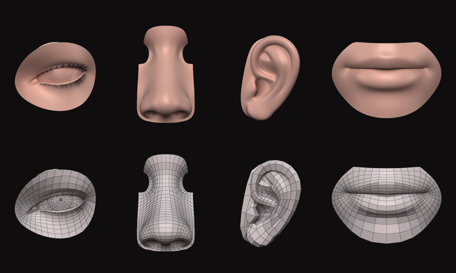 Face - Facial Element - Ear-Lip-Nose-Eye 3D model_1
