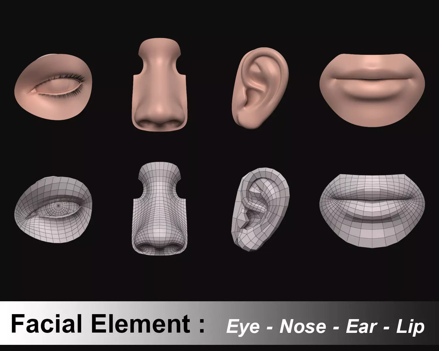 Face - Facial Element - Ear-Lip-Nose-Eye 3D model_0