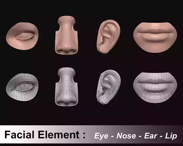 Face - Facial Element - Ear-Lip-Nose-Eye 3D model
