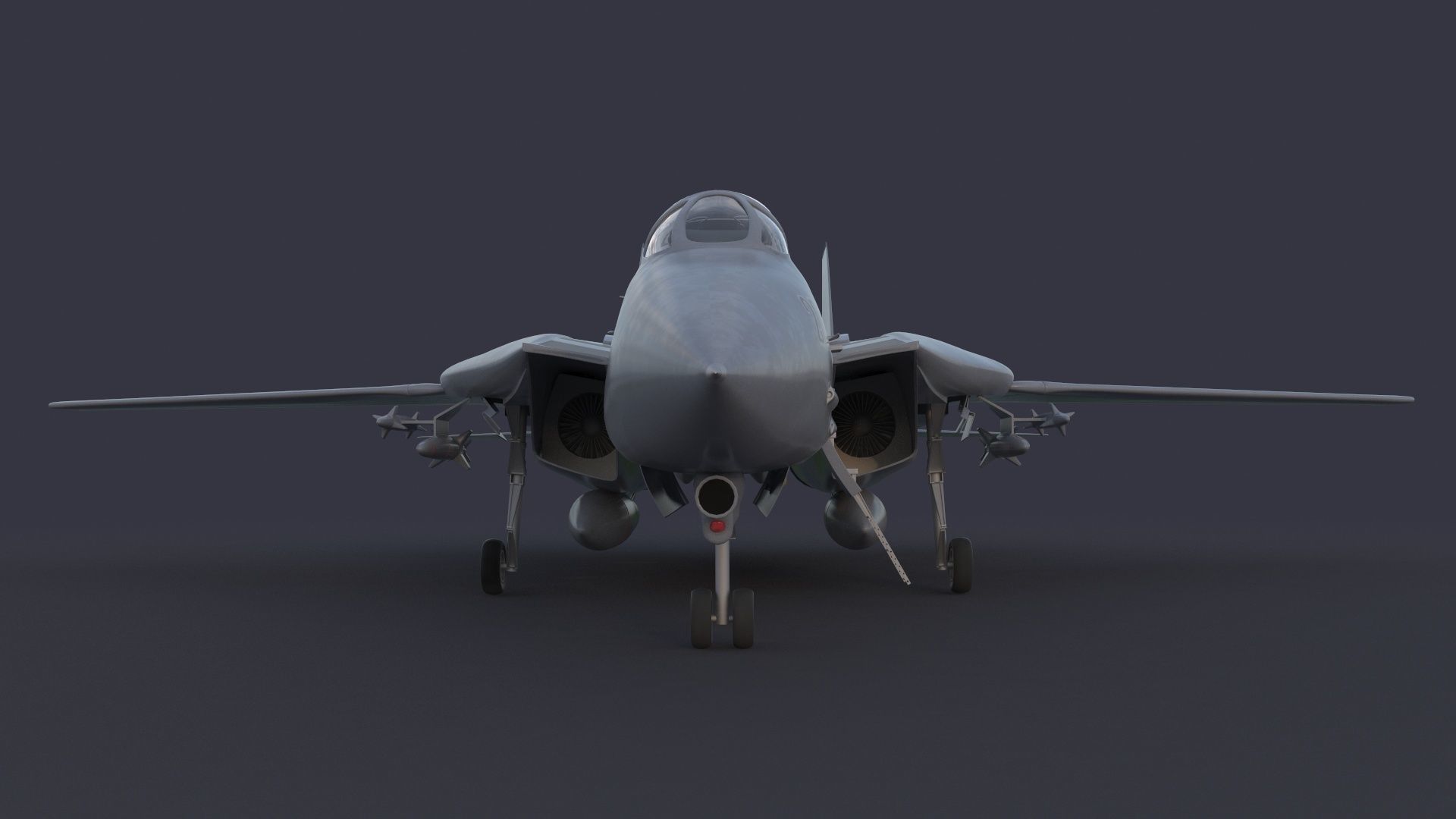 F 14 Tomcat 3D model_3