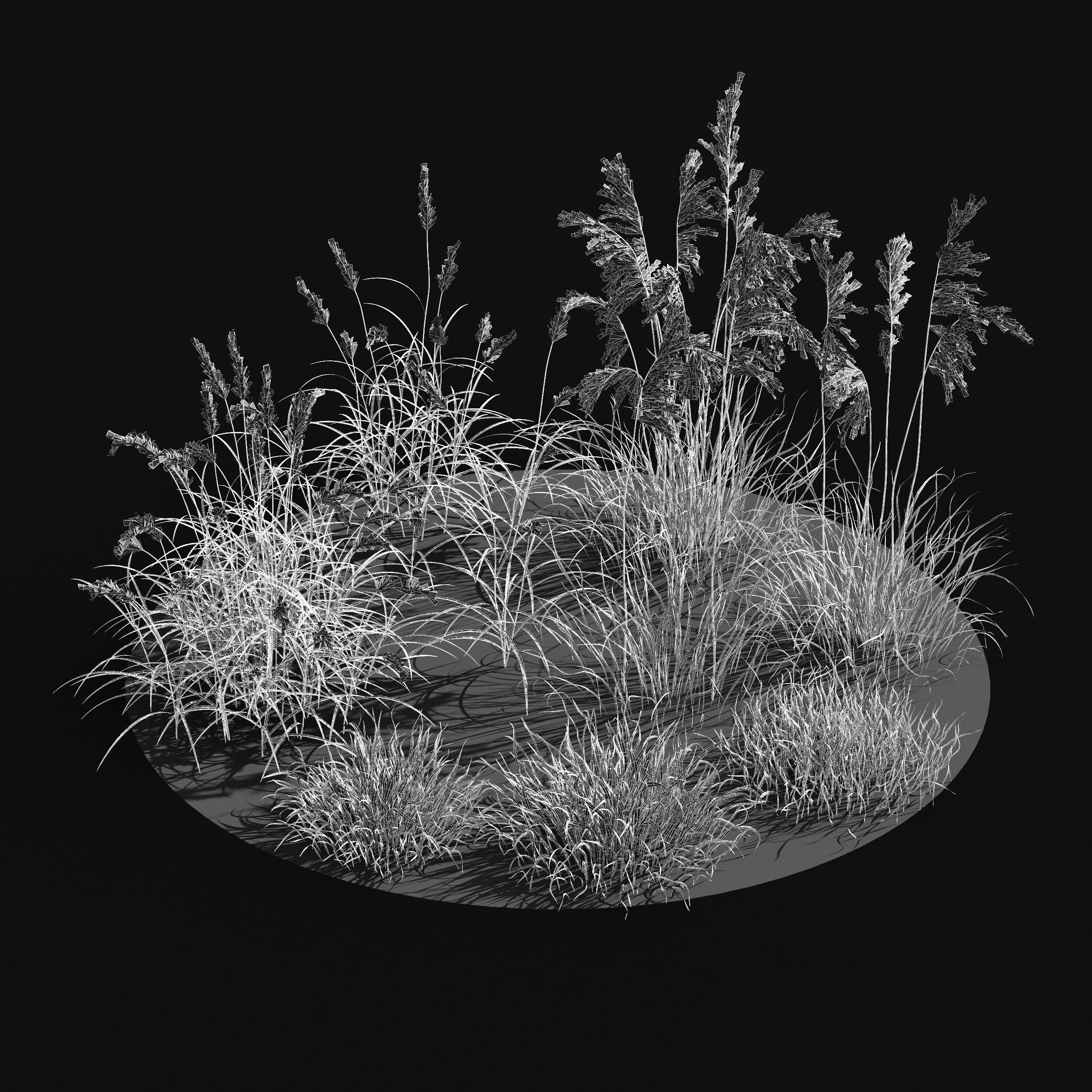 Meadow Lawn Grassland dry and desert meadow set 013 3D model_3