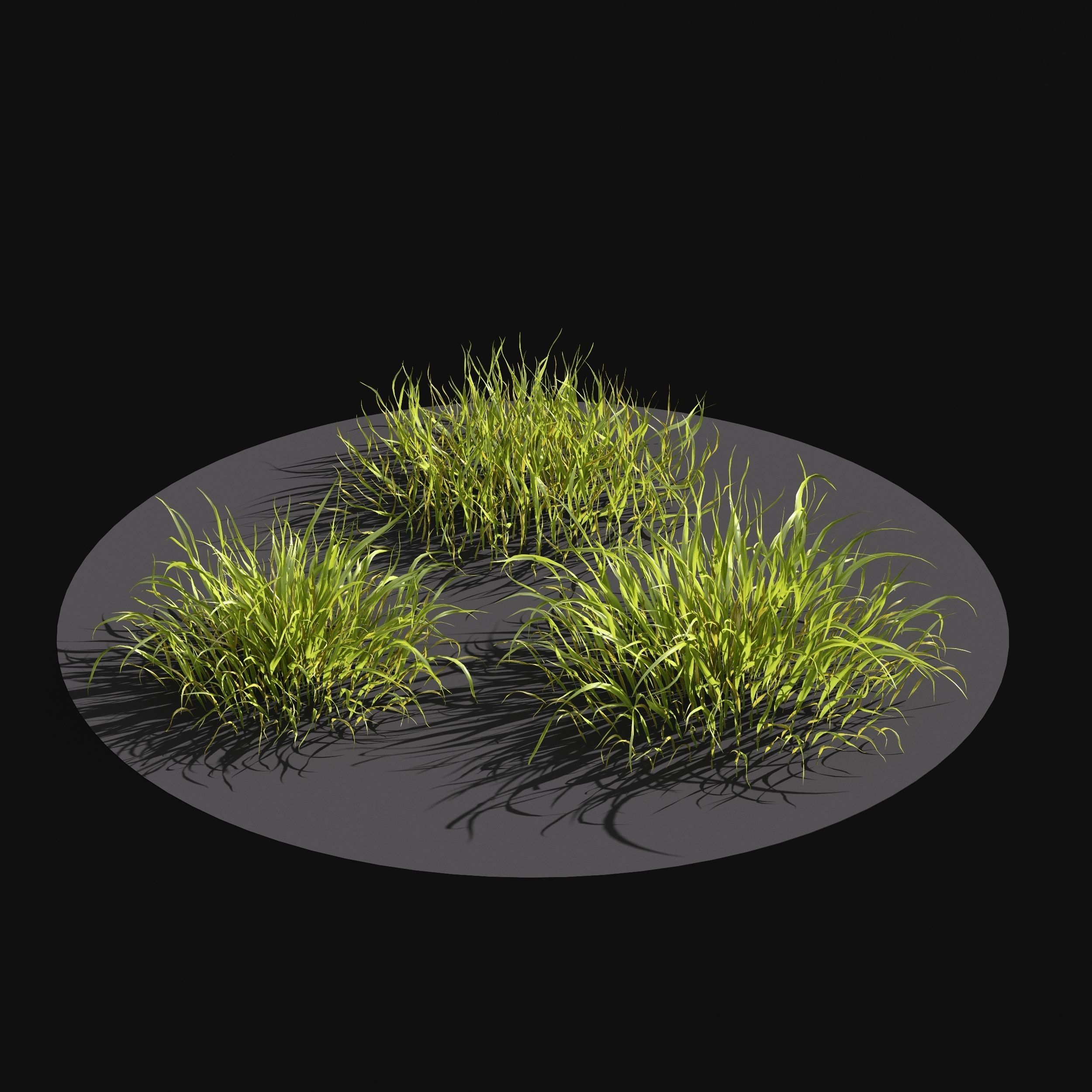 Meadow Lawn Grassland Set 014 3D model_2