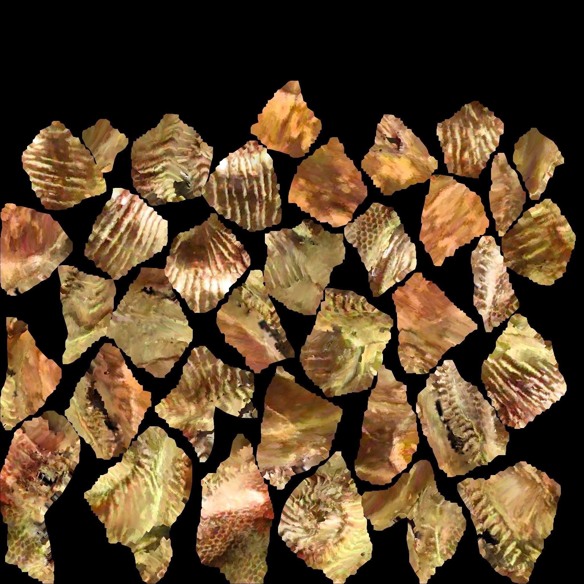 Copper Snail 3D model_1