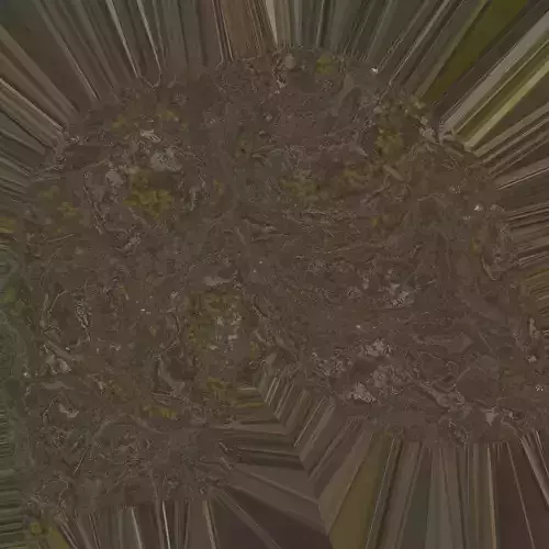 Rock model marbled head