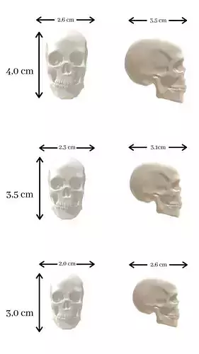 Ceramic doll skull heads