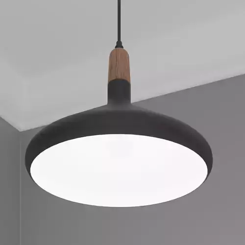 Pendant Ceiling Light P944SW