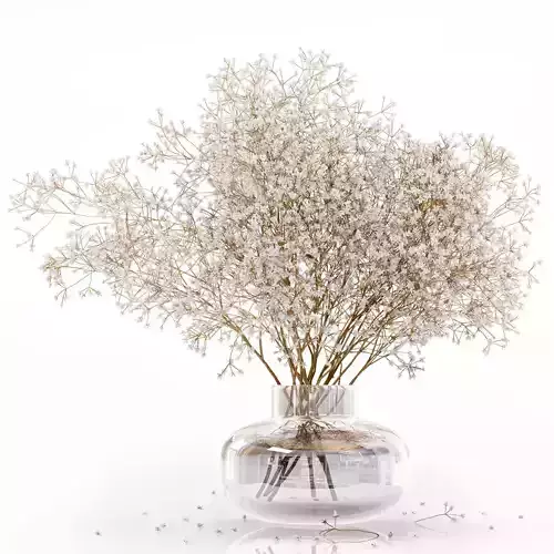 Dry flowers in modern vase 3D model