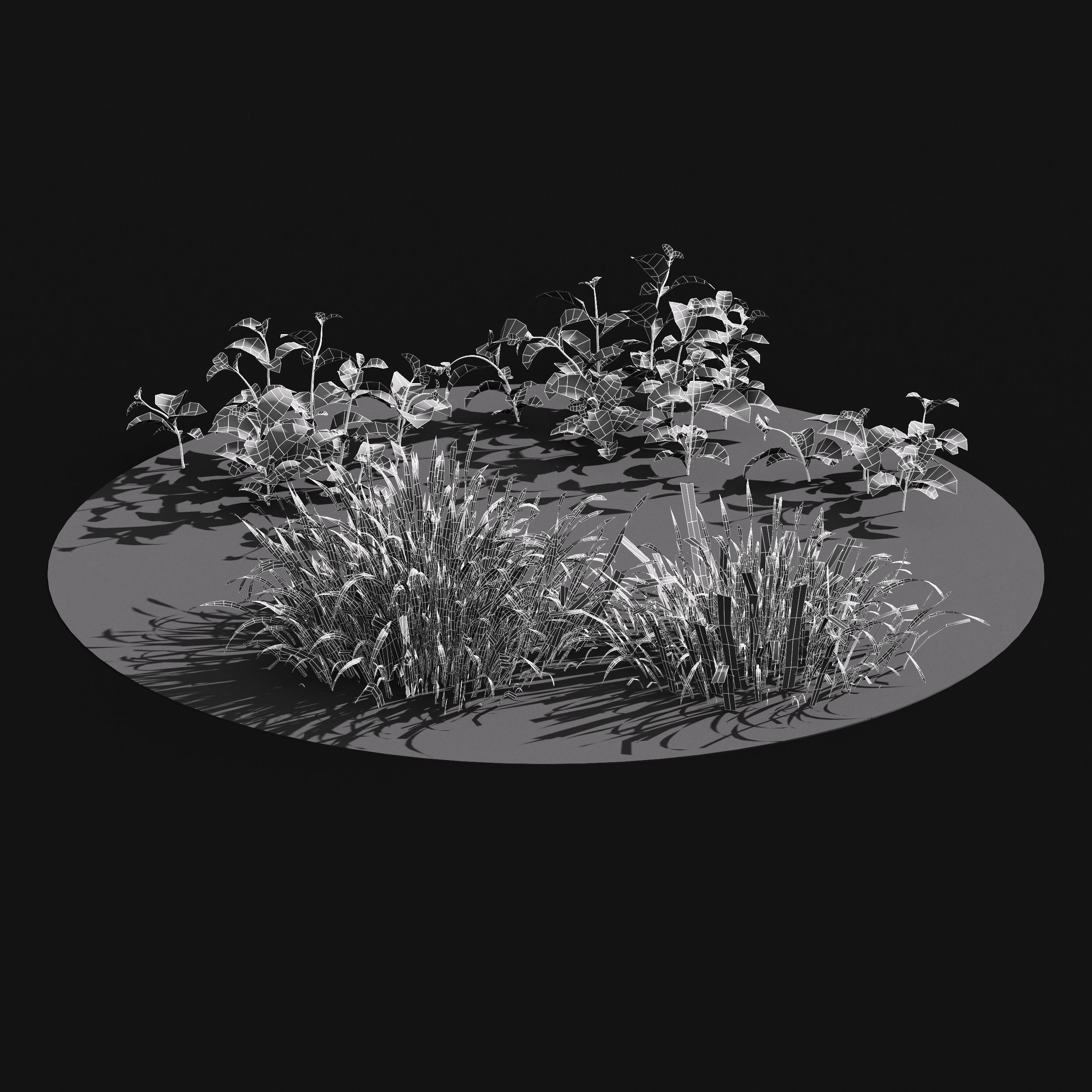 Meadow Lawn Grassland Set 011 3D model_5