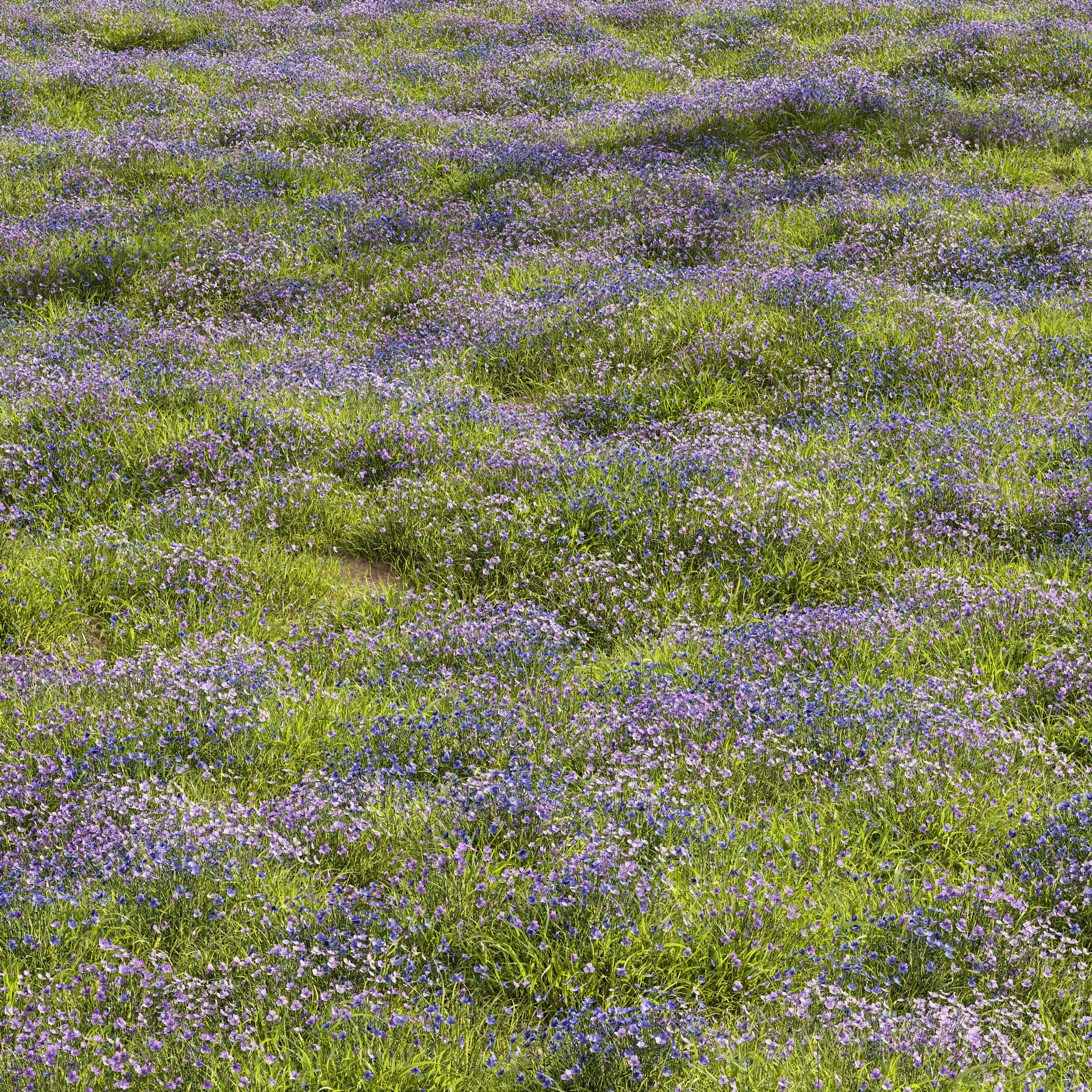Meadow Lawn Grassland Set 015 3D model