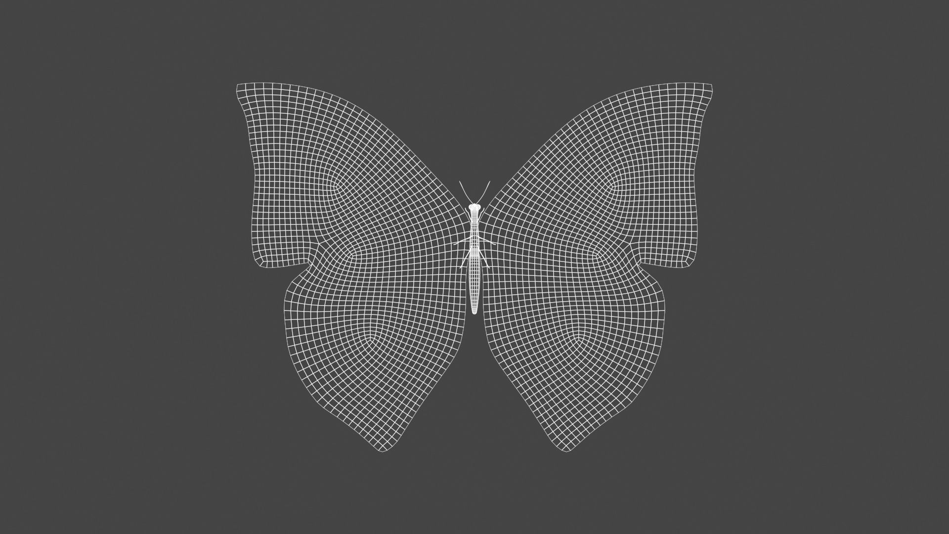 BFLY-006 Butterfly 3D model_4