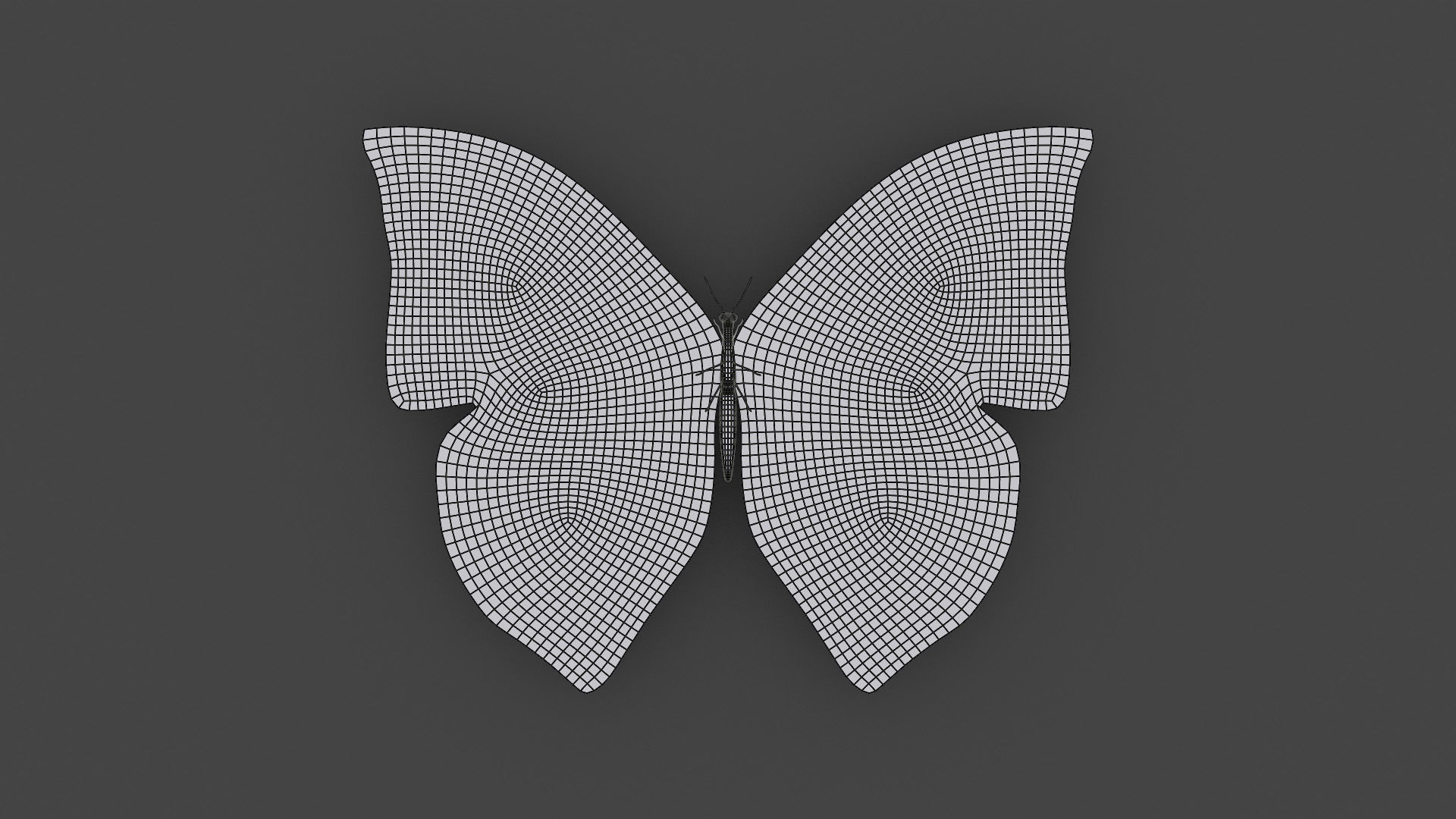 BFLY-006 Butterfly 3D model_3