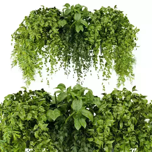 Collection plant vol 248 - indoor 3D model