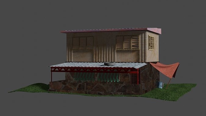 Typical Filipino House 3D model