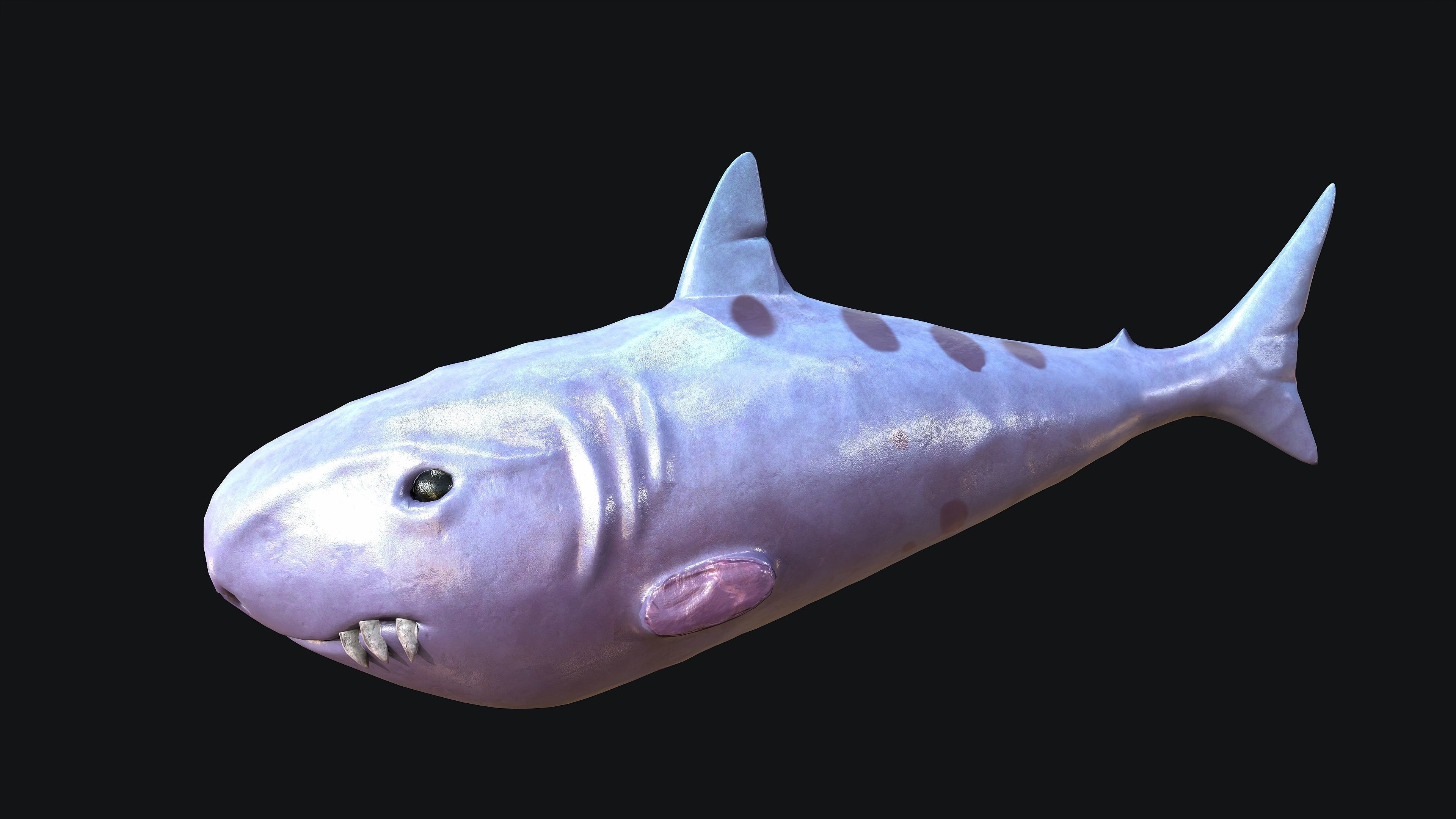 Shark whale head Low-poly 3D model_8