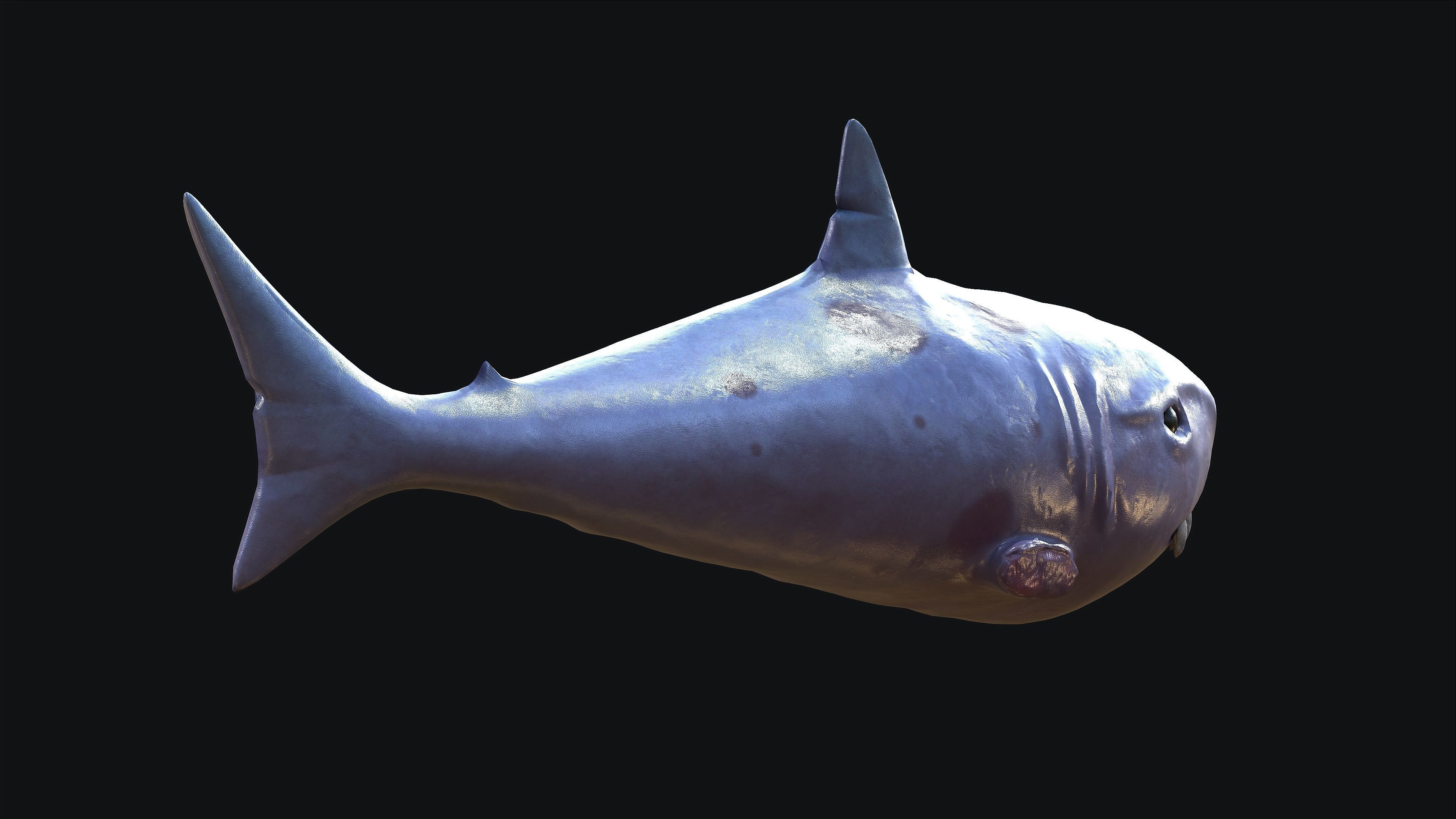 Shark whale head Low-poly 3D model_4