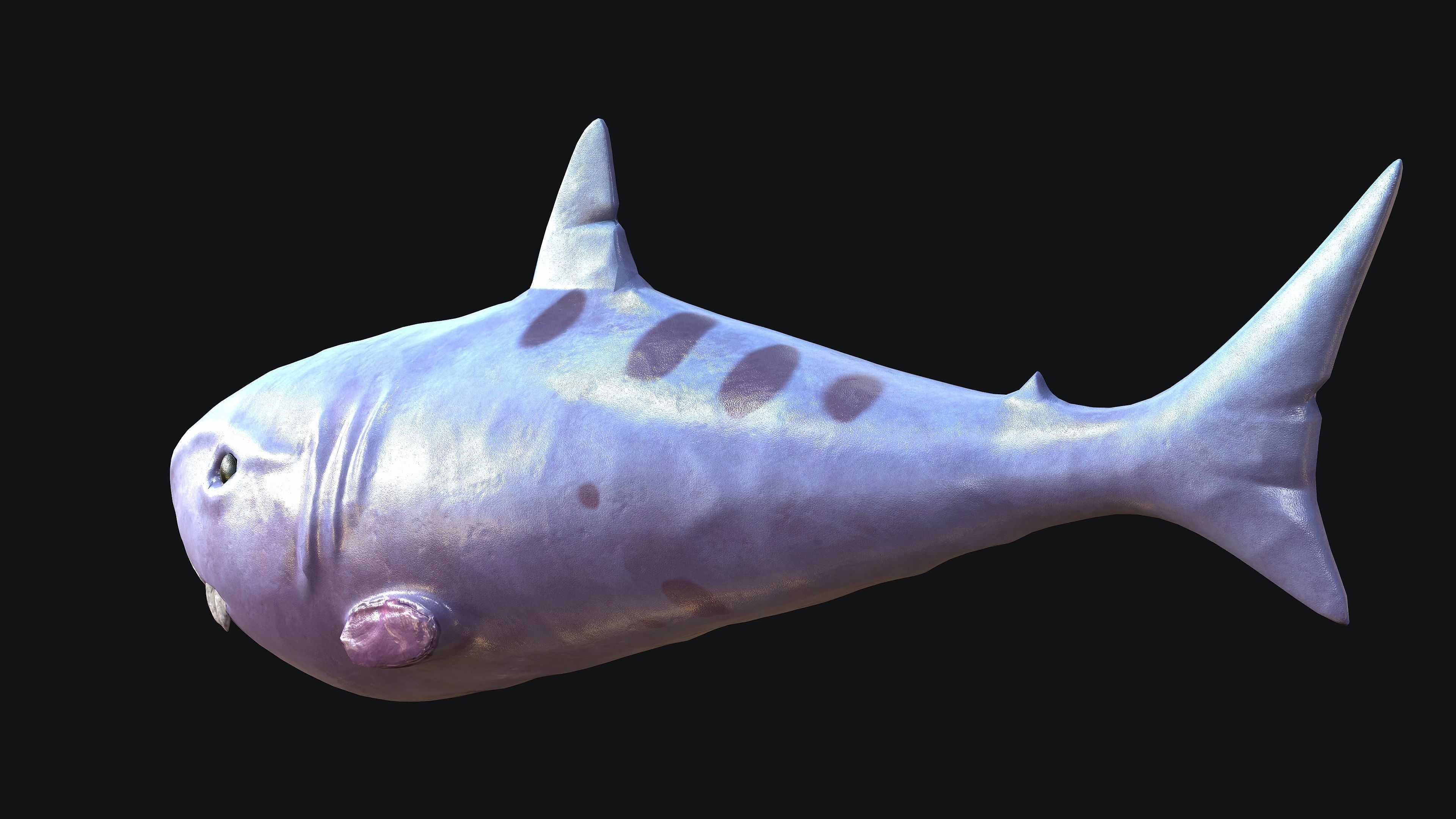 Shark whale head Low-poly 3D model_10