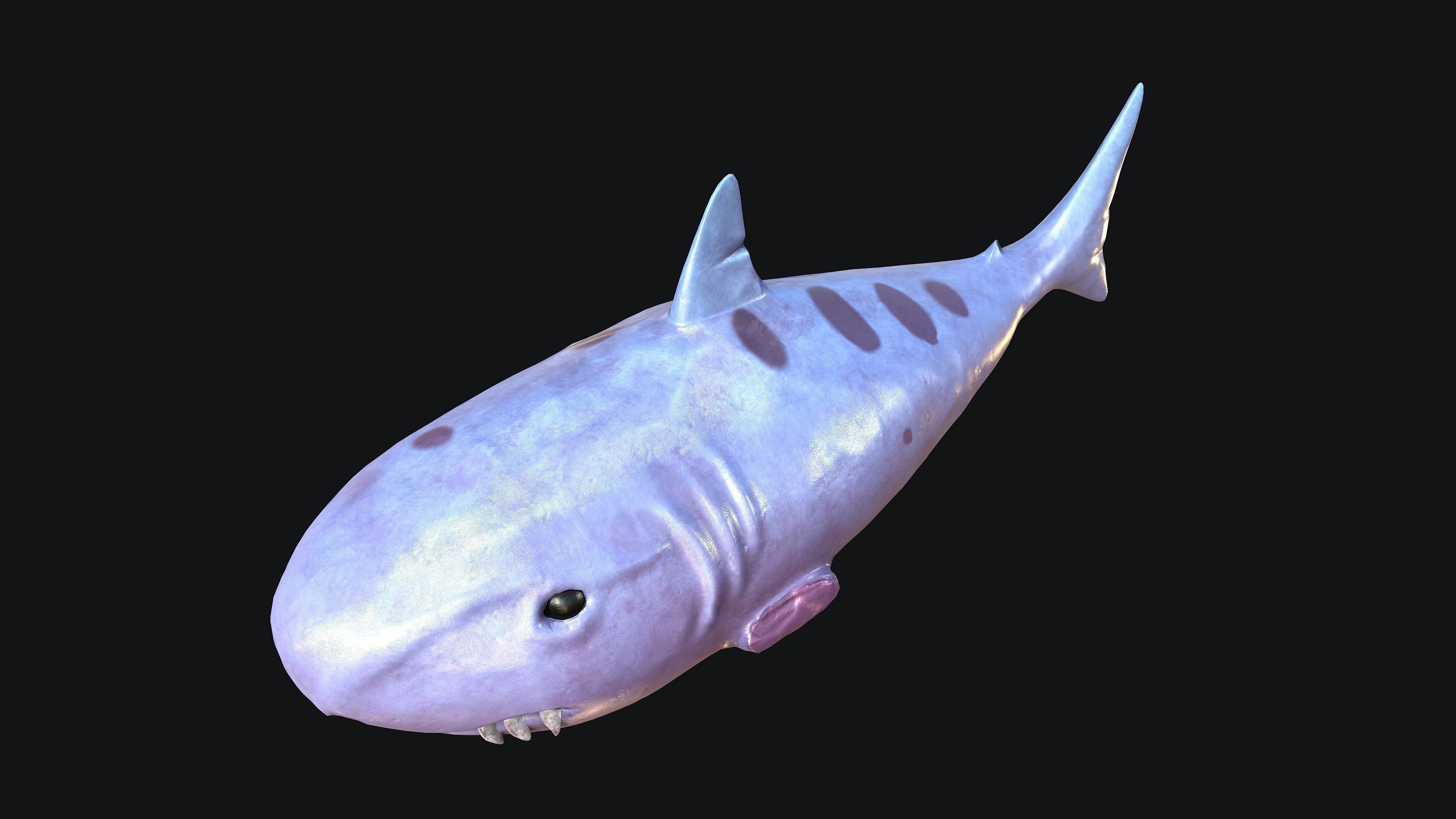 Shark whale head Low-poly 3D model_9