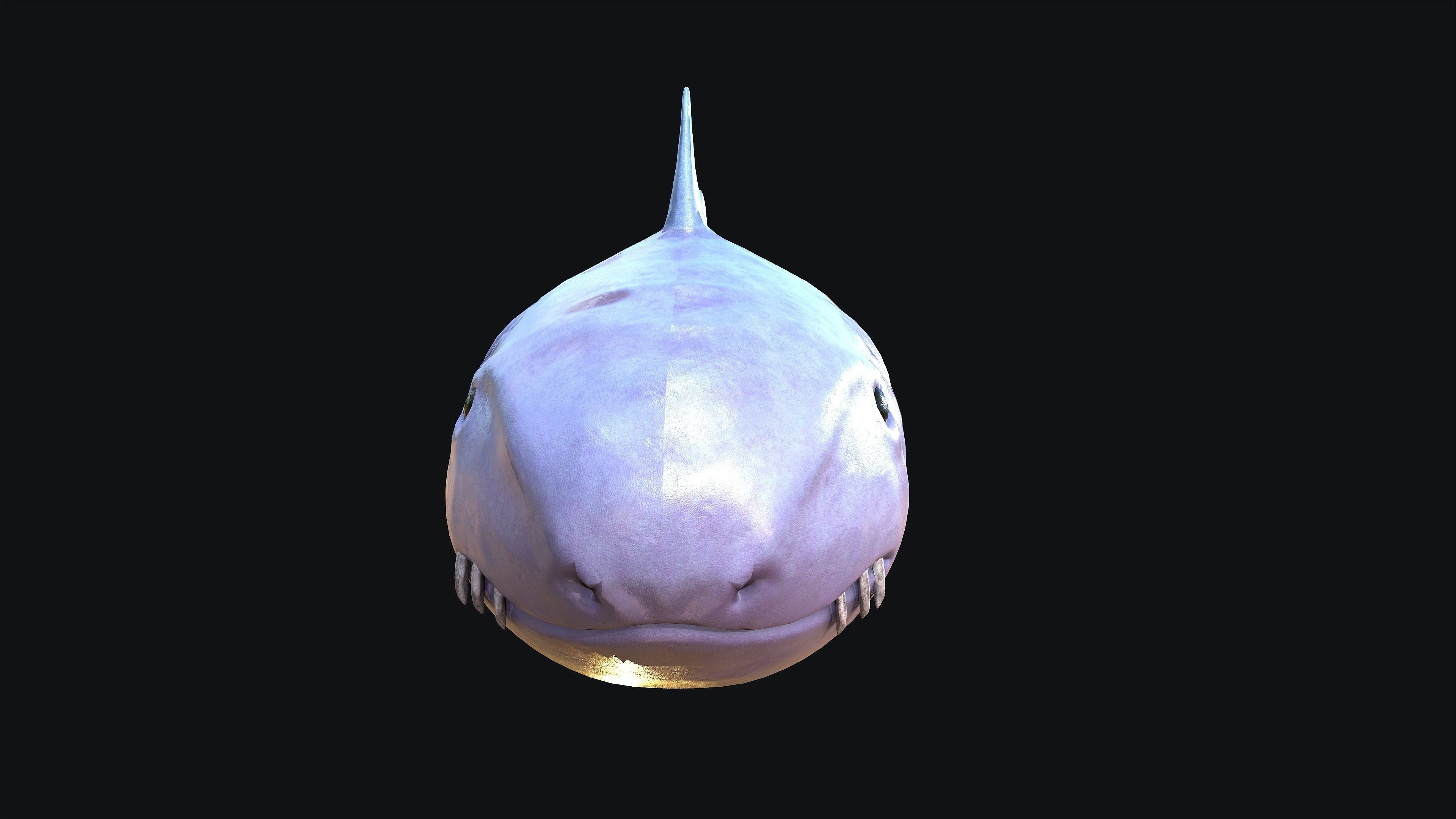 Shark whale head Low-poly 3D model_2